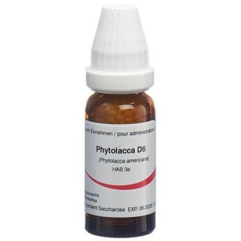 Omida Phytolacca Glob D 6 2g