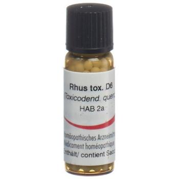 Omida Rhus toxicodendron Glob D 6 2 g