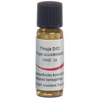 Omida Thuja Glob D 12 2 g
