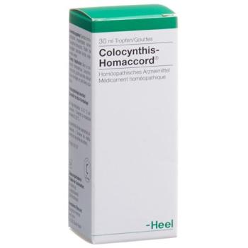 Homaccord Colocynthis 30 ml Tropfen