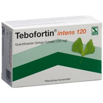 Tebofortin Intense 120 Film Tablets 120 mg 90 pcs