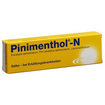 Pinimenthol N Ointment Tb 50 g