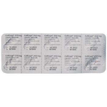 CellCept (PI) caps 250 mg 100 pcs