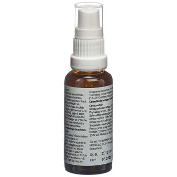 HEIDAK Sore Throat Spray Fl 30 ml