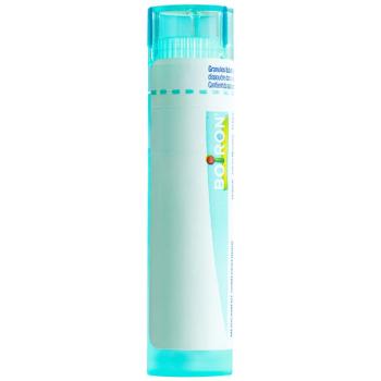 Boiron Allium cepa Gran 200K 4g