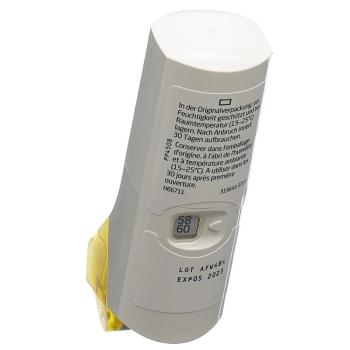 SEFFALAIR SPIROMAX Inh Plv 113/14 mcg