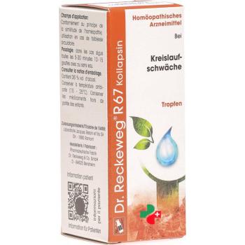 Reckeweg R67 Kollapsin drops bottle 50 ml