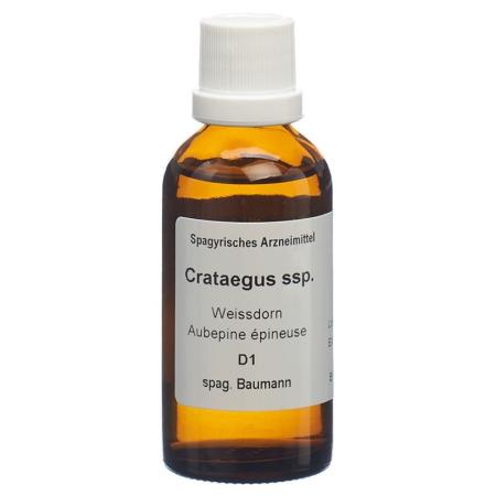 SPAGYROS SPAGYR Crataegus ssp. - PrimeCare Global