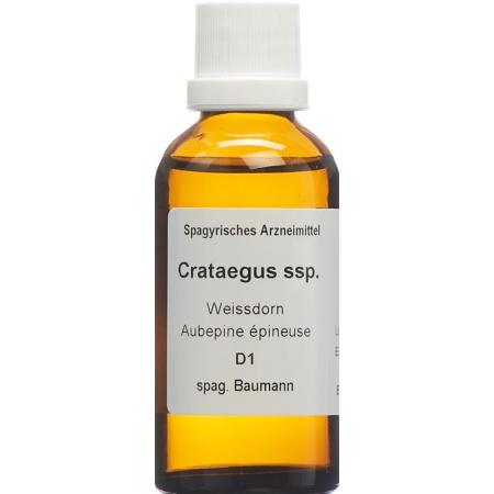 SPAGYROS SPAGYR Crataegus ssp. - PrimeCare Global