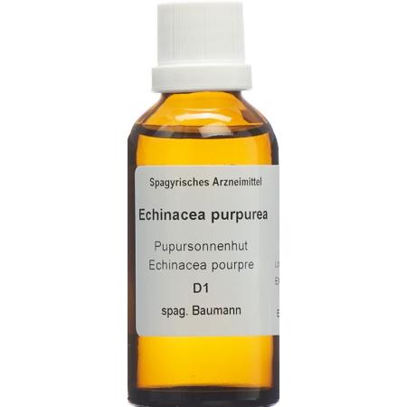 SPAGYROS SPAGYR Echinacea purpurea - PrimeCare Global