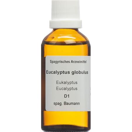 SPAGYROS SPAGYR Eucalyptus globulus - PrimeCare Global