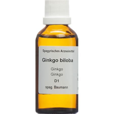 SPAGYROS SPAGYR Ginkgo biloba - PrimeCare Global