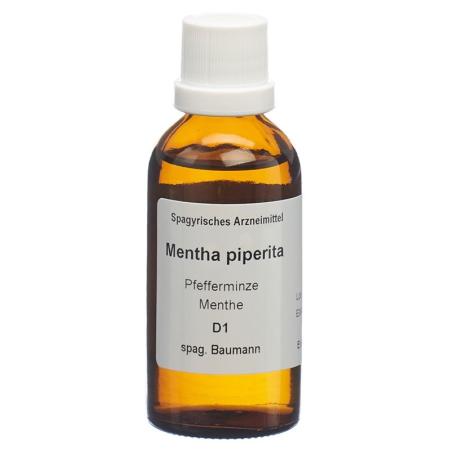 SPAGYROS SPAGYR Mentha piperita - PrimeCare Global