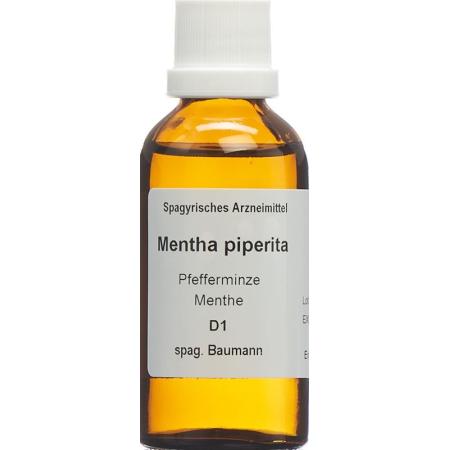 SPAGYROS SPAGYR Mentha piperita - PrimeCare Global