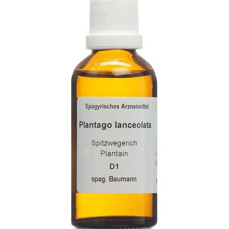 SPAGYROS SPAGYR Plantago lanceolata - PrimeCare Global
