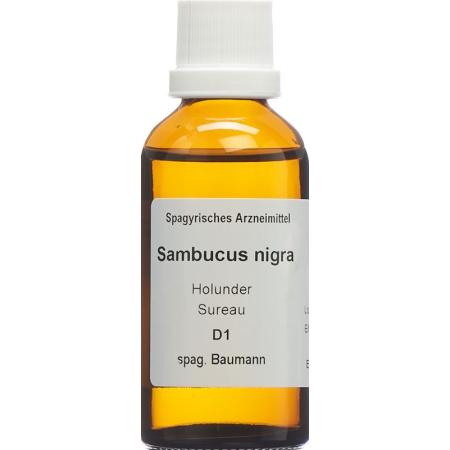 SPAGYROS SPAGYR Sambucus nigra - PrimeCare Global