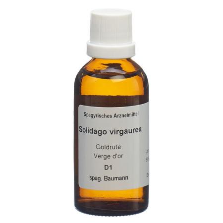 SPAGYROS SPAGYR Solidago virgaurea - PrimeCare Global