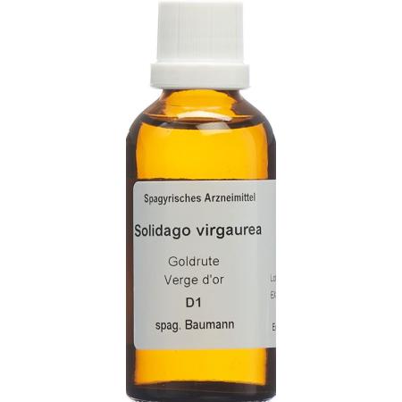 SPAGYROS SPAGYR Solidago virgaurea - PrimeCare Global
