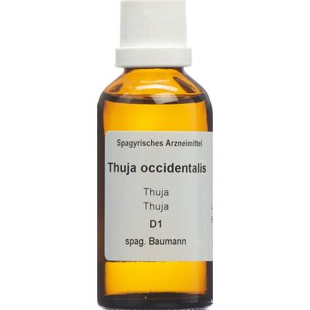 SPAGYROS SPAGYR Thuja occidentalis - PrimeCare Global