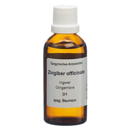 SPAGYROS SPAGYR Zingiber officinale - PrimeCare Global