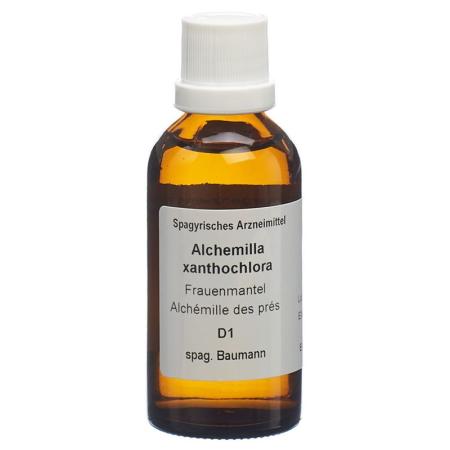 SPAGYROS SPAGYR Alchemilla xanthochlora - PrimeCare Global