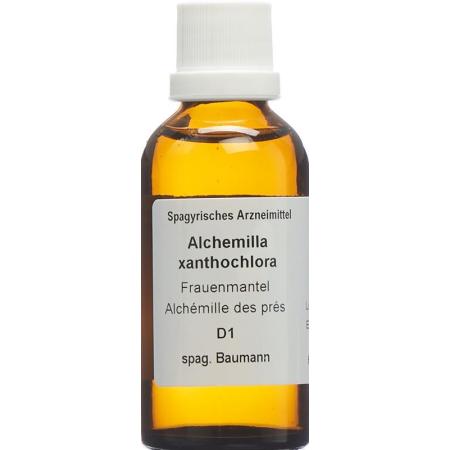 SPAGYROS SPAGYR Alchemilla xanthochlora - PrimeCare Global