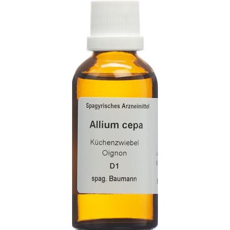 SPAGYROS SPAGYR Allium cepa - PrimeCare Global