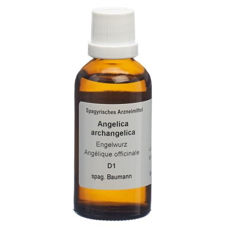 SPAGYROS SPAGYR Angelica archangelica - PrimeCare Global