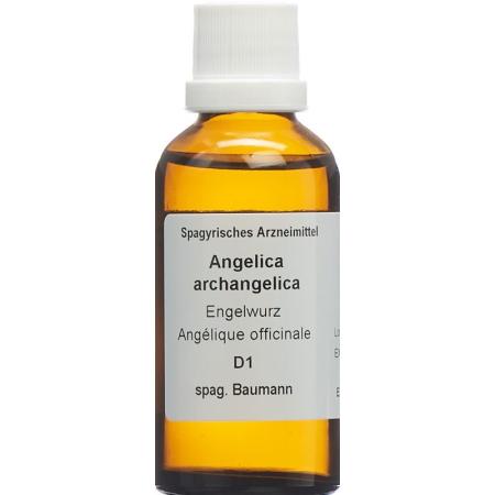 SPAGYROS SPAGYR Angelica archangelica - PrimeCare Global