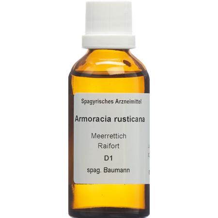 SPAGYROS SPAGYR Armoracia rusticana - PrimeCare Global
