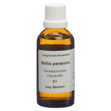 SPAGYROS SPAGYR Bellis perennis - PrimeCare Global