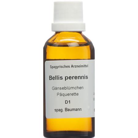 SPAGYROS SPAGYR Bellis perennis - PrimeCare Global