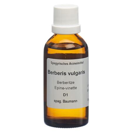 SPAGYROS SPAGYR Berberis vulgaris - PrimeCare Global