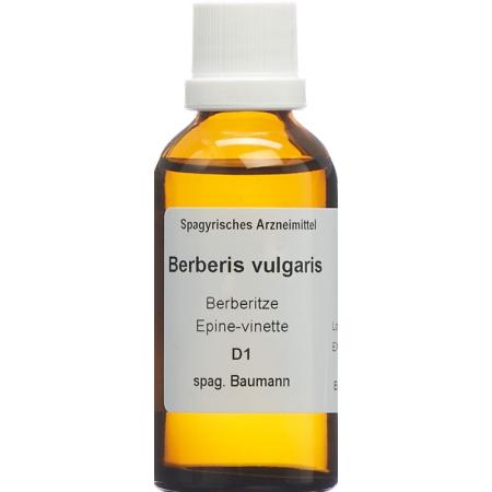 SPAGYROS SPAGYR Berberis vulgaris - PrimeCare Global