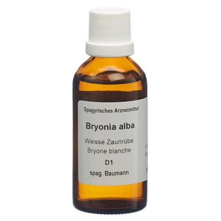 SPAGYROS SPAGYR Bryonia alba - PrimeCare Global