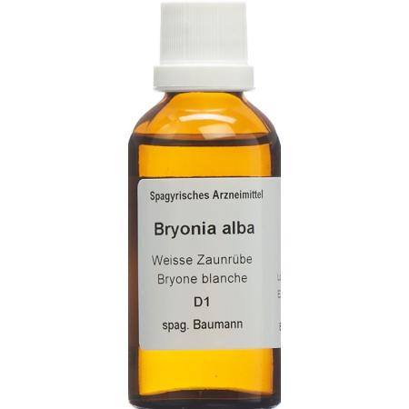 SPAGYROS SPAGYR Bryonia alba - PrimeCare Global