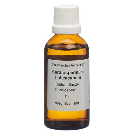 SPAGYROS SPAGYR Cardiospermum halicaca - PrimeCare Global
