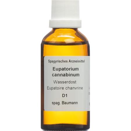 SPAGYROS SPAGYR Eupatorium cannabinum - PrimeCare Global