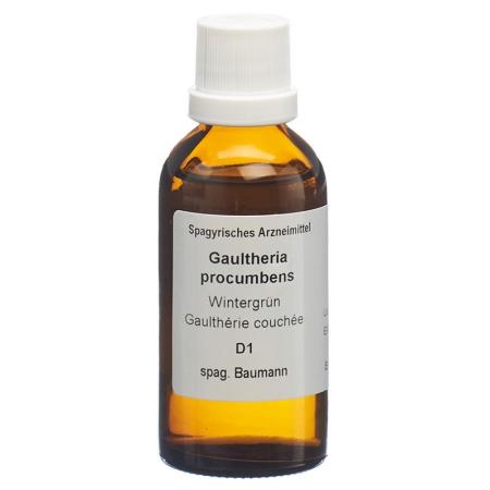 SPAGYROS SPAGYR Gaultheria procumbens - PrimeCare Global