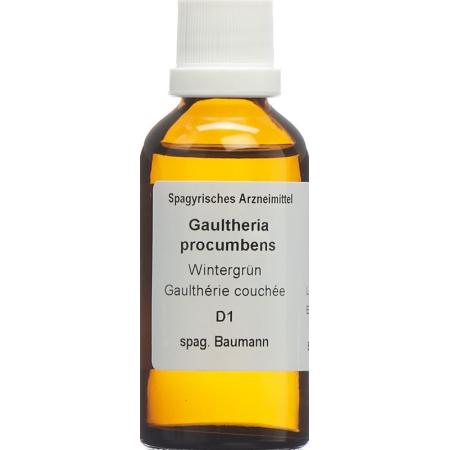 SPAGYROS SPAGYR Gaultheria procumbens - PrimeCare Global