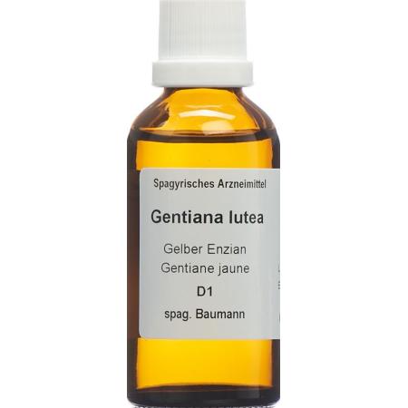 SPAGYROS SPAGYR Gentiana lutea - PrimeCare Global