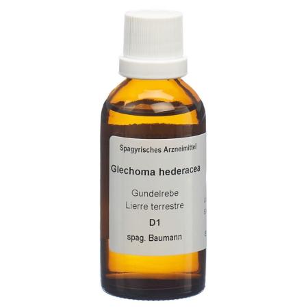 SPAGYROS SPAGYR Glechoma hederacea - PrimeCare Global