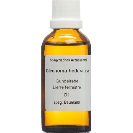 SPAGYROS SPAGYR Glechoma hederacea - PrimeCare Global