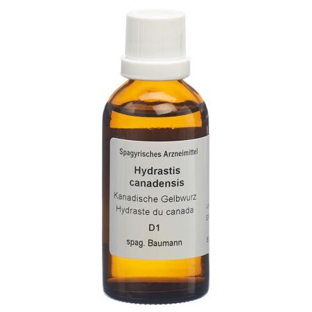 SPAGYROS SPAGYR Hydrastis canadensis - PrimeCare Global