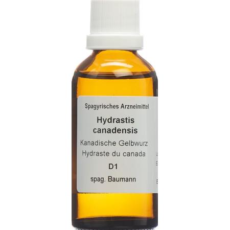 SPAGYROS SPAGYR Hydrastis canadensis - PrimeCare Global