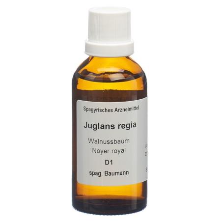 SPAGYROS SPAGYR Juglans regia - PrimeCare Global