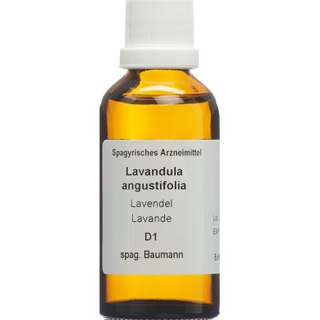 SPAGYROS SPAGYR Lavandula angustifolia - PrimeCare Global