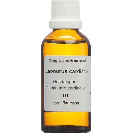 SPAGYROS SPAGYR Leonurus cardiaca - PrimeCare Global