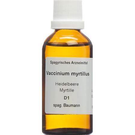SPAGYROS SPAGYR Vaccinium myrtillus - PrimeCare Global