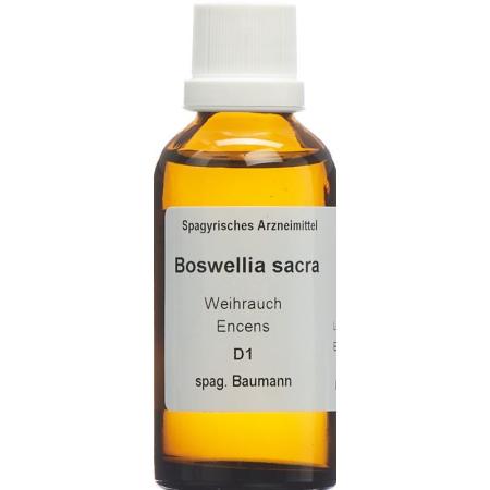 SPAGYROS SPAGYR Boswellia sacra - PrimeCare Global